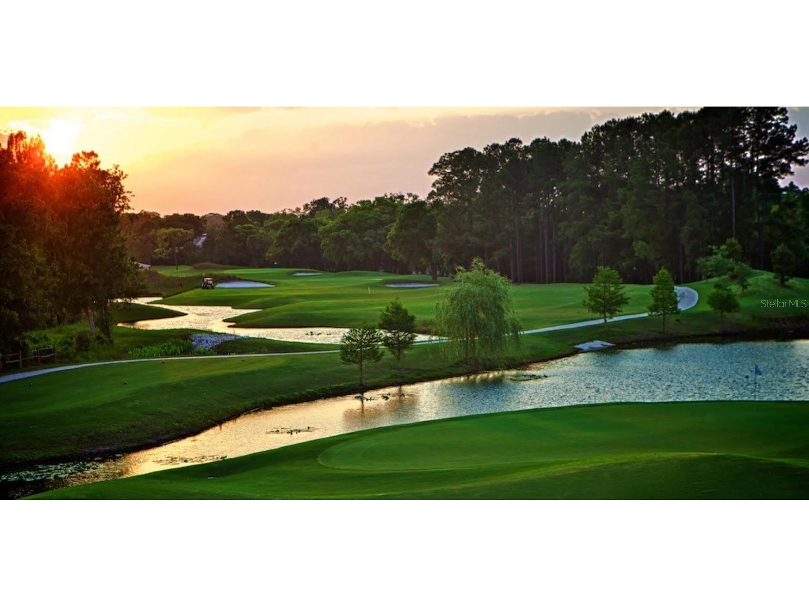 3601 Midiron Drive Winter Park FL 32789 O6368849 image3