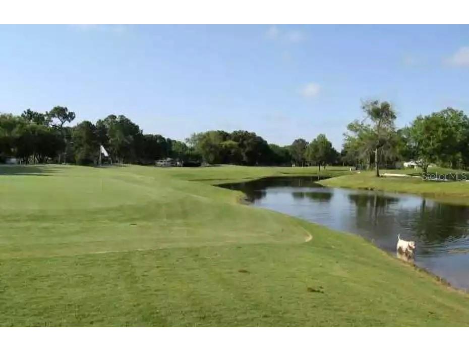 3601 Midiron Drive Winter Park FL 32789 O6368849 image4