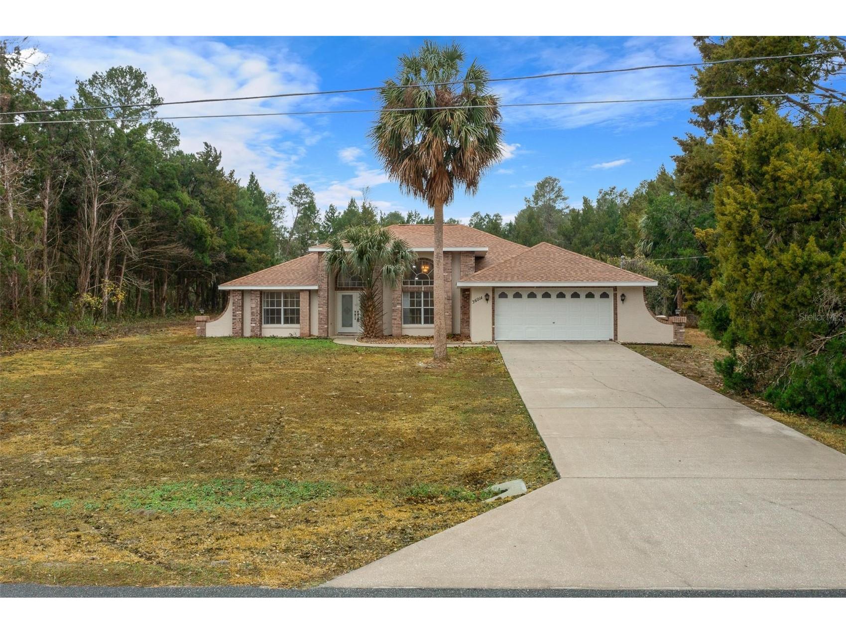 36014 Lake Unity Nursery Road Fruitland Park FL 34731 OM717862 image2