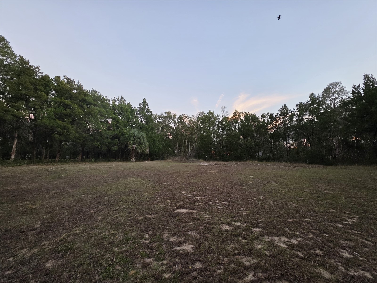36014 Lake Unity Nursery Road Fruitland Park FL 34731 OM717862 image40