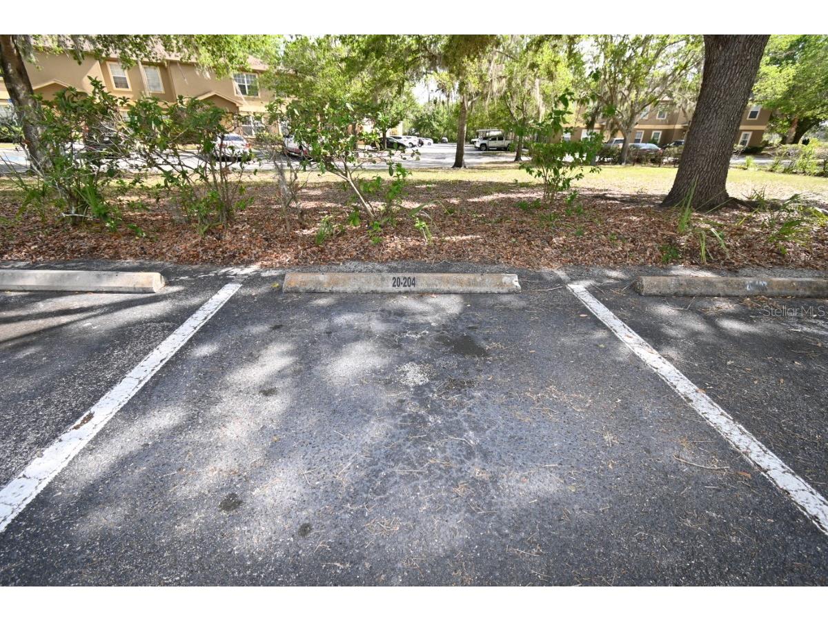 36015 Deer Creek Drive #202 Zephyrhills FL 33541 TB8493985 image18