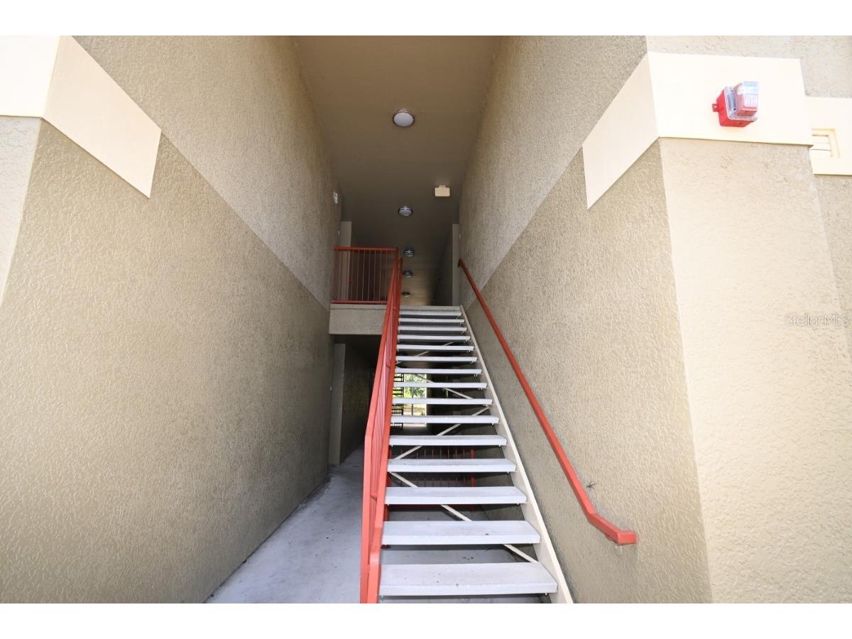 36015 Deer Creek Drive #202 Zephyrhills FL 33541 TB8493985 image3