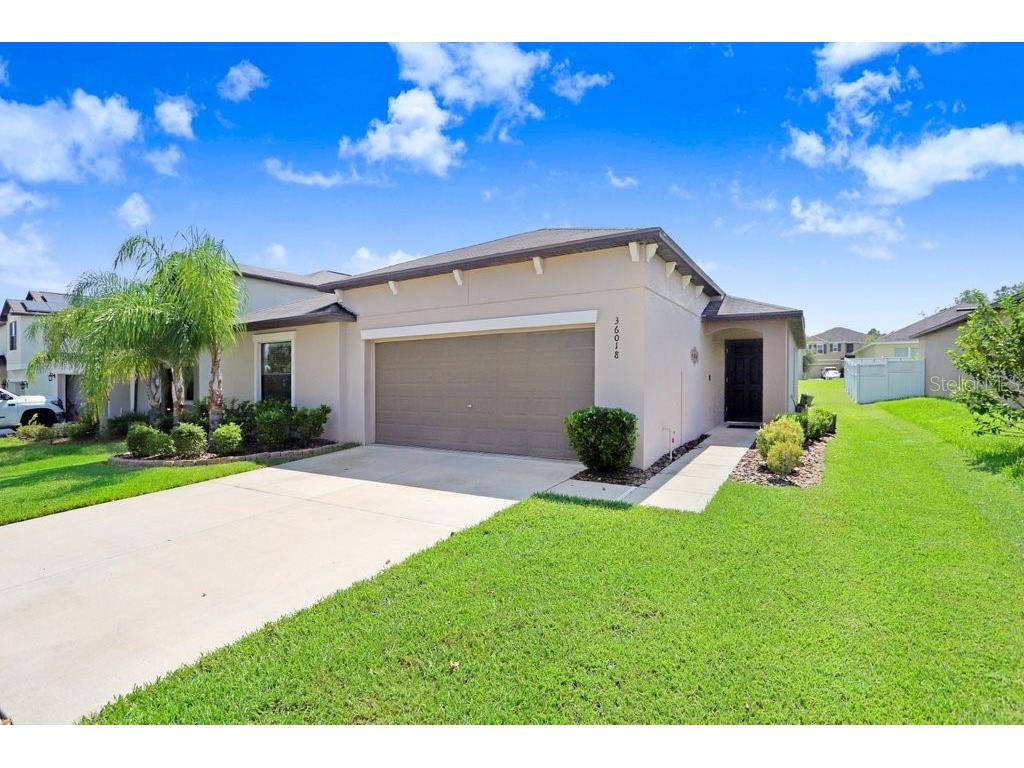 36018 Stable Wilk Avenue Zephyrhills FL 33541 TB8305862 image1