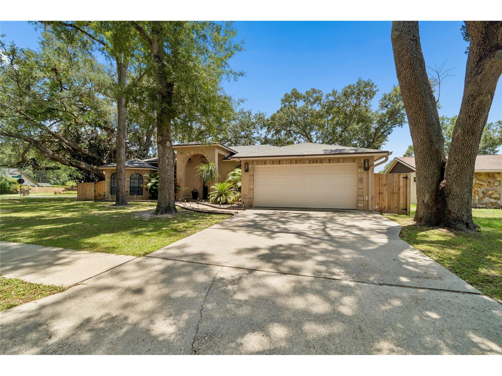 3602 Arlington Oaks Court Tampa FL 33618 TB8510163 image2