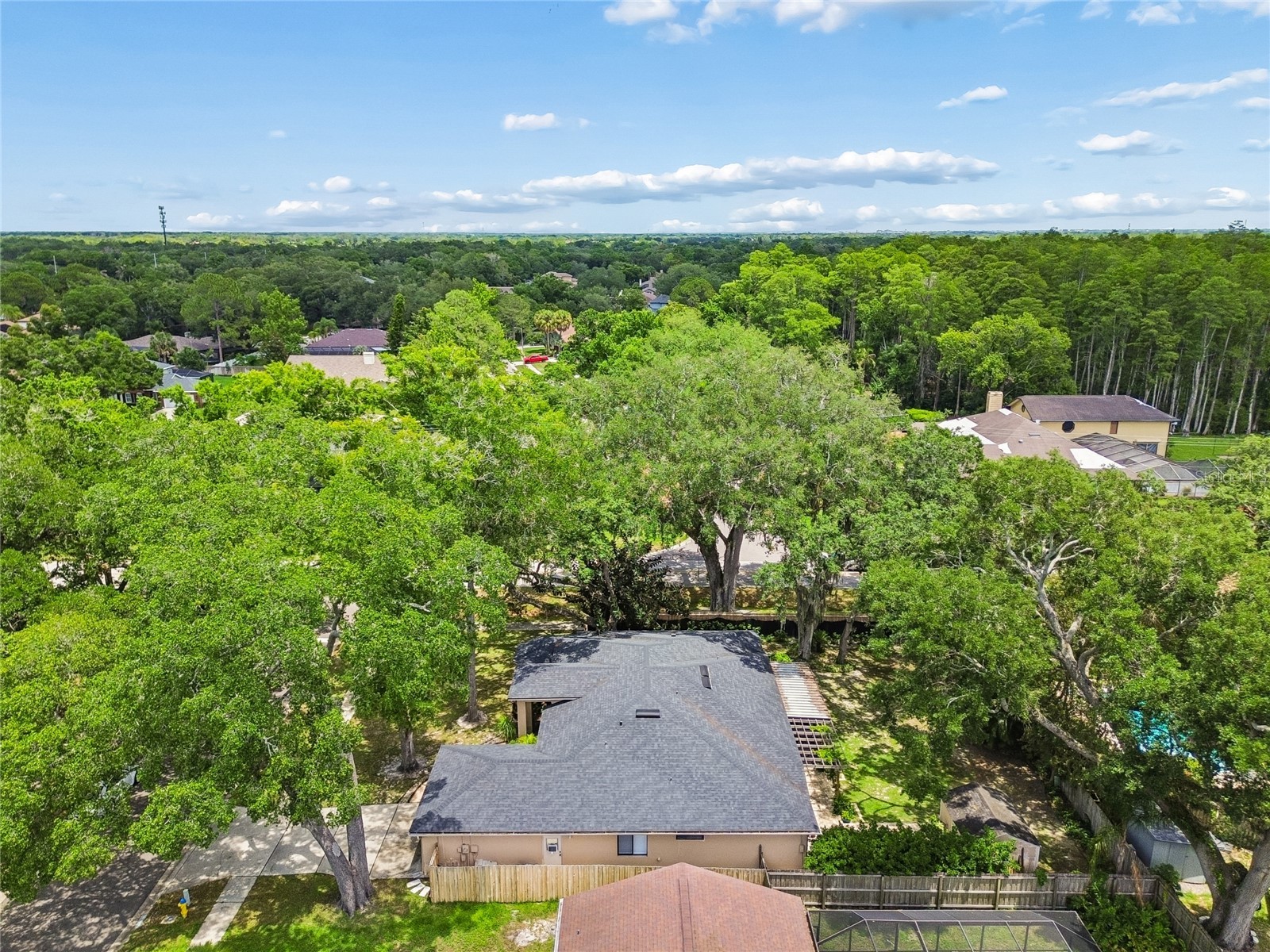 3602 Arlington Oaks Court Tampa FL 33618 TB8510163 image73
