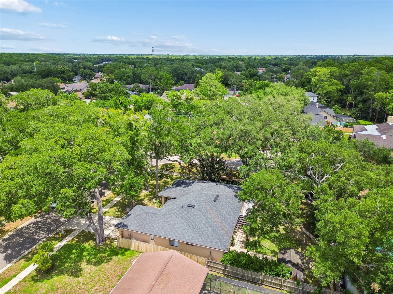 3602 Arlington Oaks Court Tampa FL 33618 TB8510163 image74