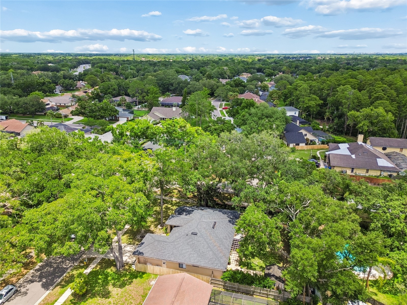 3602 Arlington Oaks Court Tampa FL 33618 TB8510163 image75