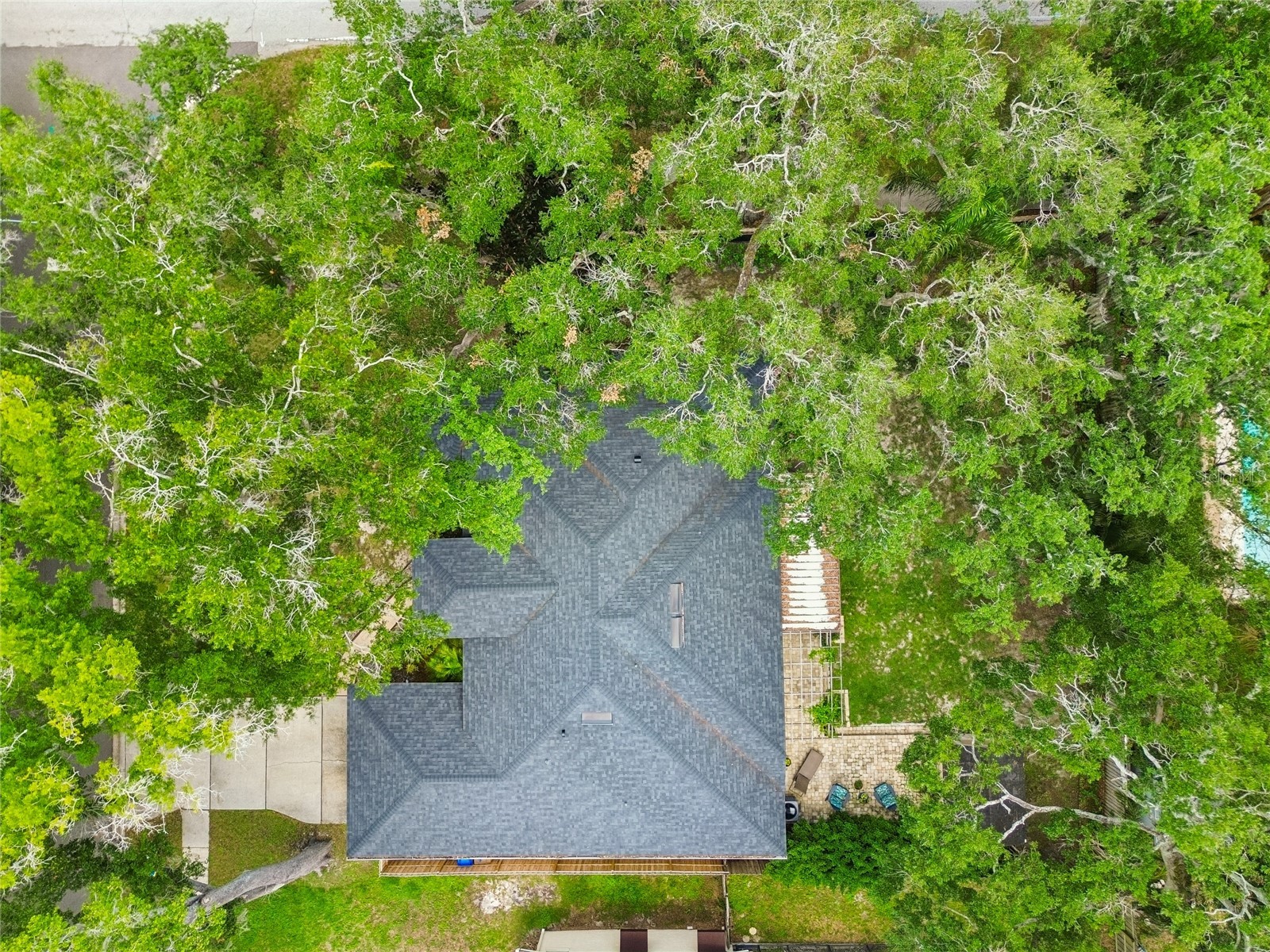 3602 Arlington Oaks Court Tampa FL 33618 TB8510163 image76