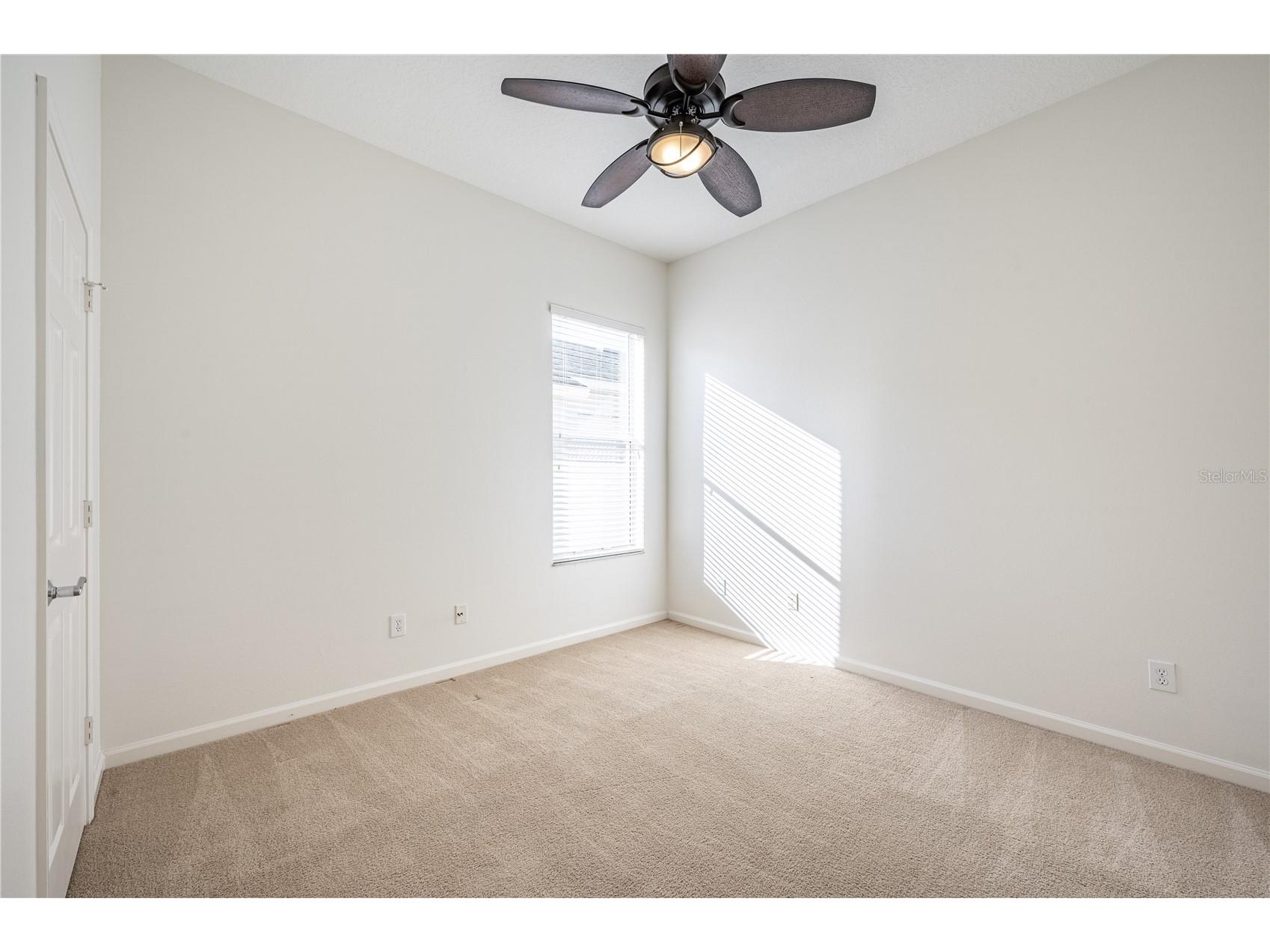 3602 Juneberry Drive Wesley Chapel FL 33543 TB8483096 image29