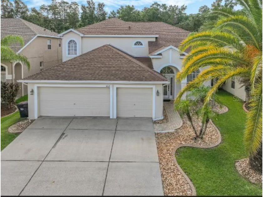 3602 Morgans Bluff Court Land O Lakes FL 34639 TB8324617 image1