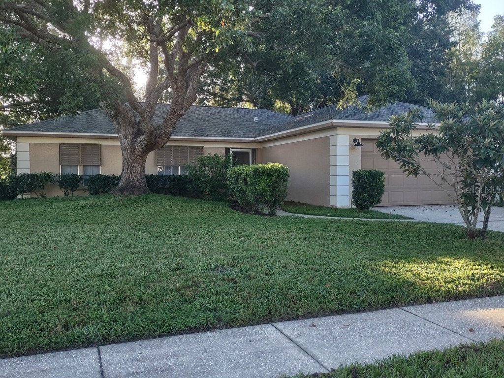 3602 Player Drive New Port Richey FL 34655 T3470059 image1