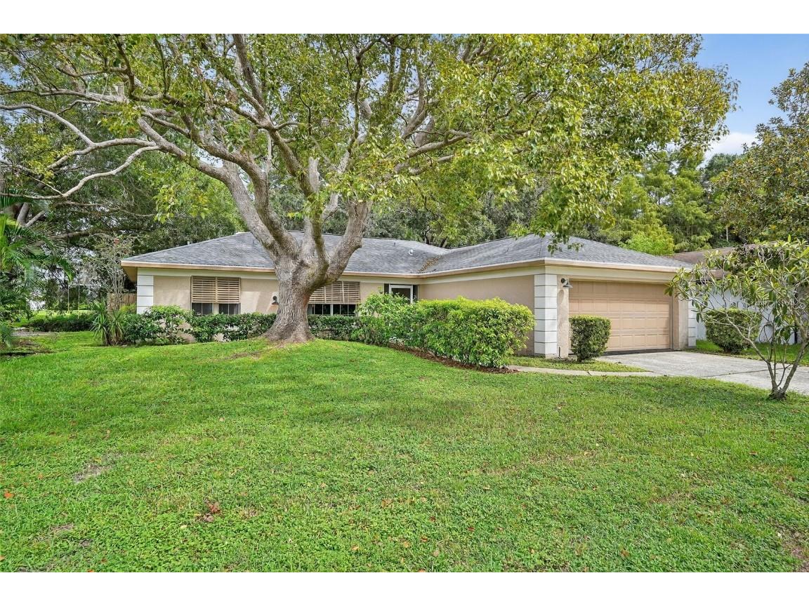 3602 Player Drive New Port Richey FL 34655 TB8424093 image1