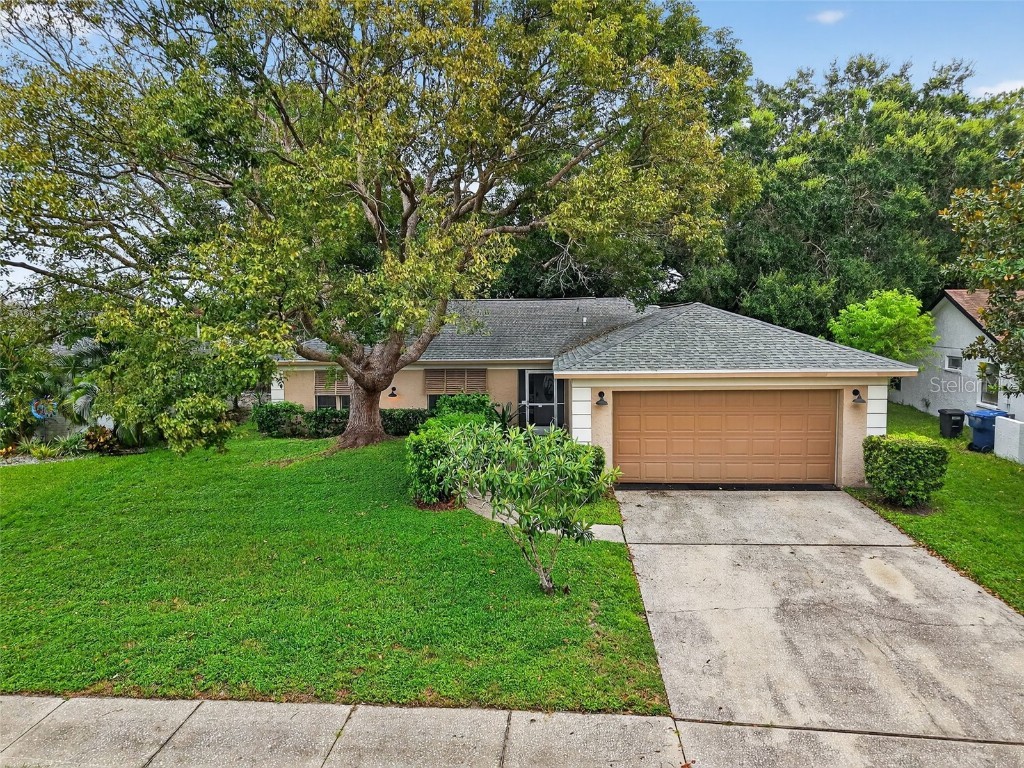 3602 Player Drive New Port Richey FL 34655 TB8424093 image2