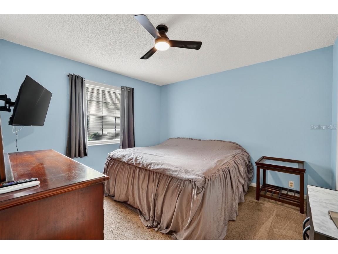 3602 Player Drive New Port Richey FL 34655 TB8424093 image29