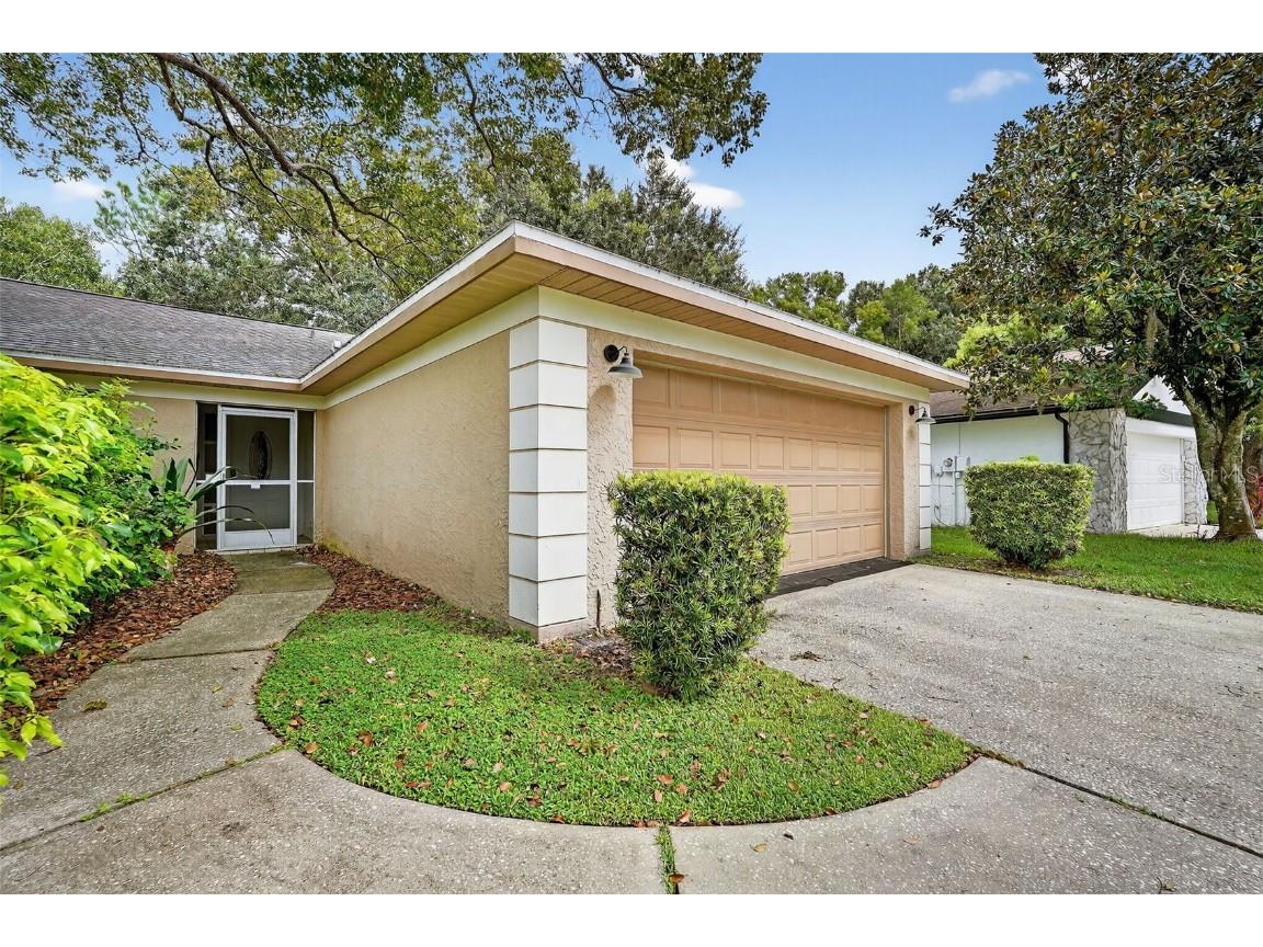 3602 Player Drive New Port Richey FL 34655 TB8424093 image3