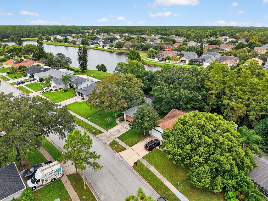 3602 Player Drive New Port Richey FL 34655 TB8424093 image37