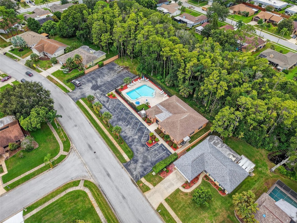 3602 Player Drive New Port Richey FL 34655 TB8424093 image38