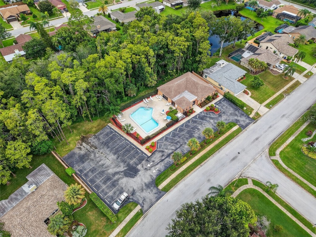 3602 Player Drive New Port Richey FL 34655 TB8424093 image39