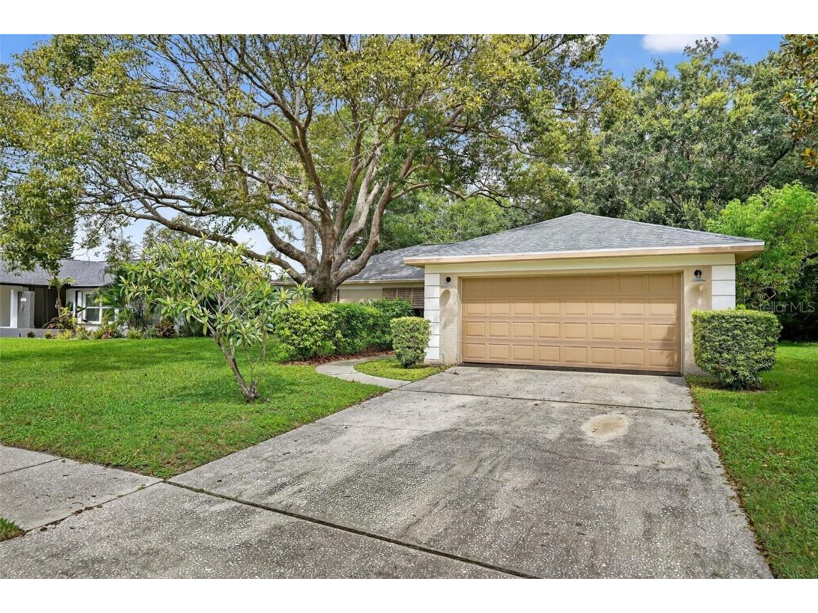 3602 Player Drive New Port Richey FL 34655 TB8424093 image4