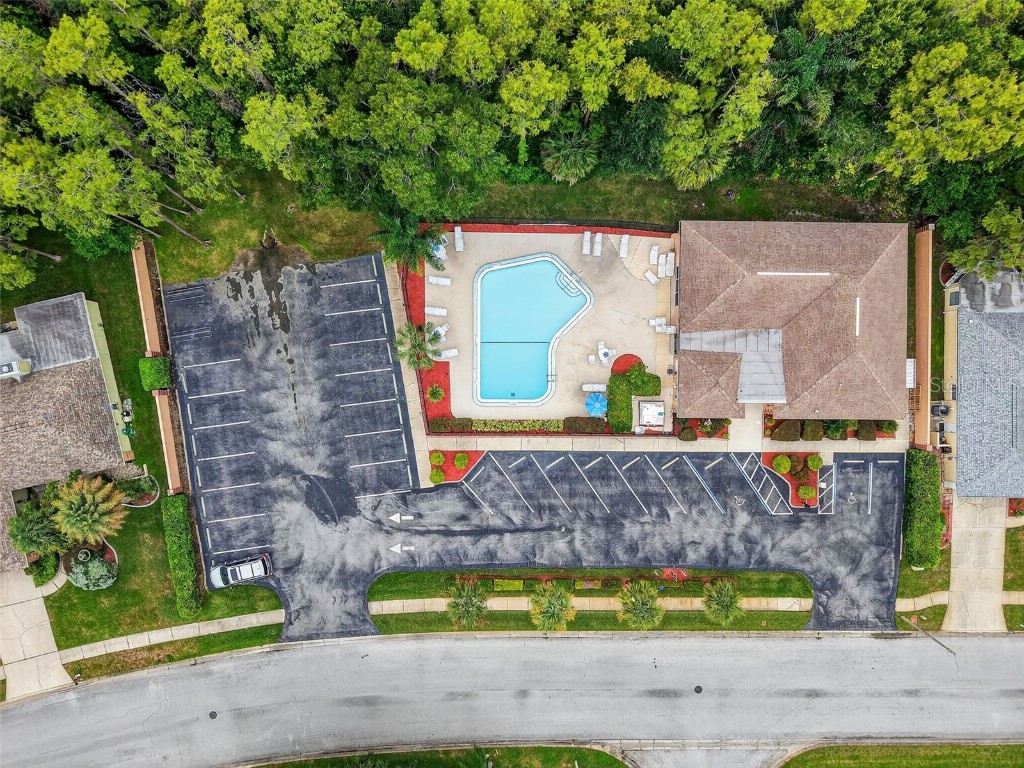 3602 Player Drive New Port Richey FL 34655 TB8424093 image40