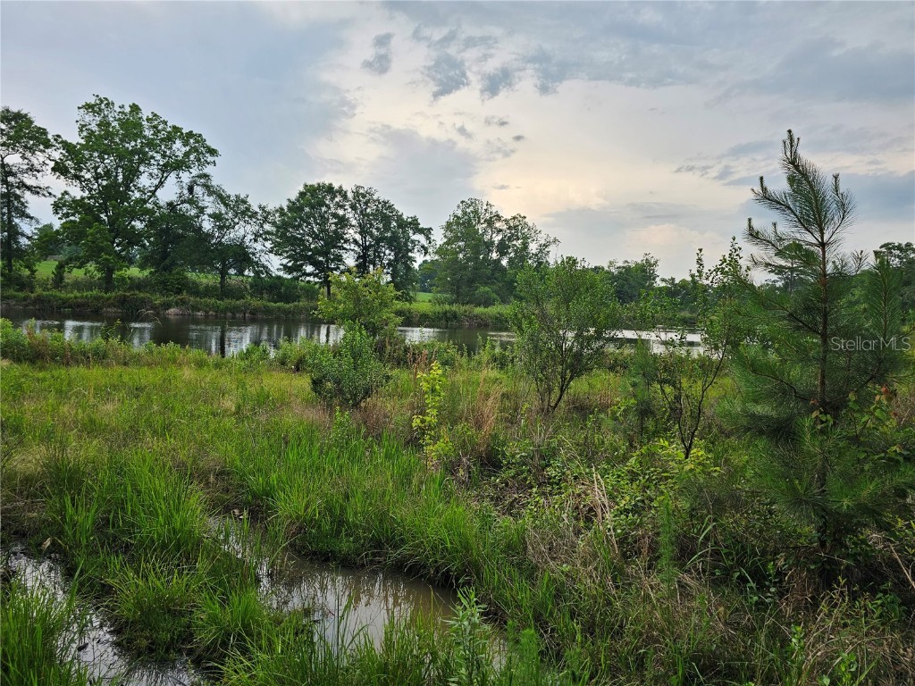 3602 Robert Murphy Road Graceville FL 32440 O6140778 image23