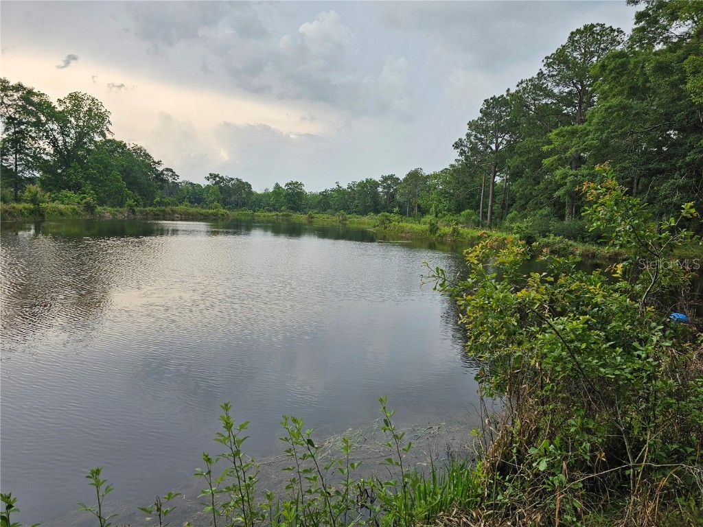 3602 Robert Murphy Road Graceville FL 32440 O6140778 image27