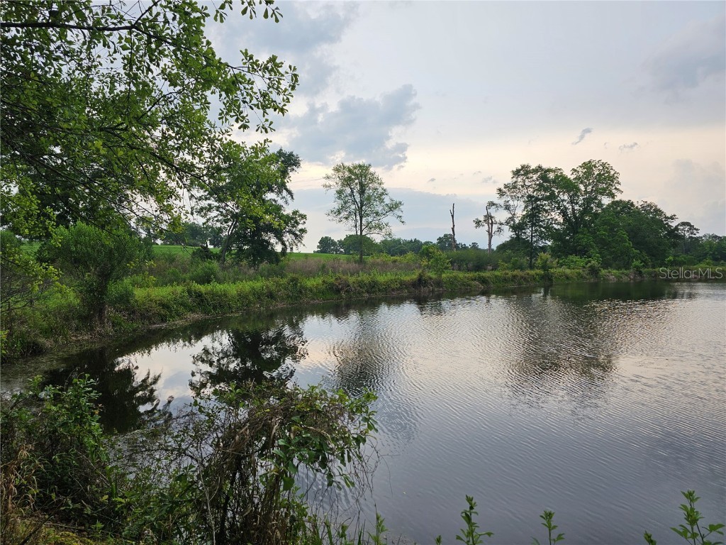 3602 Robert Murphy Road Graceville FL 32440 O6140778 image28