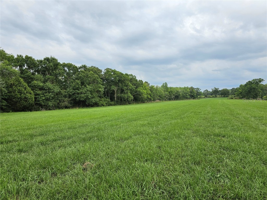 3602 Robert Murphy Road Graceville FL 32440 O6140778 image36