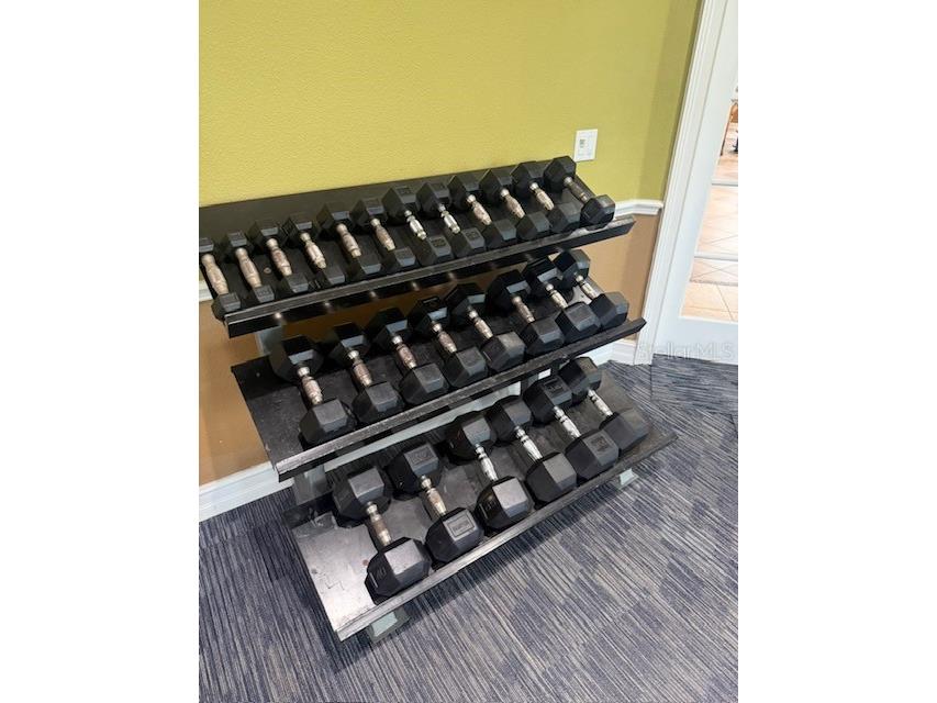 3602 Wilshire Way Road #248 Orlando FL 32829 O6407013 image29