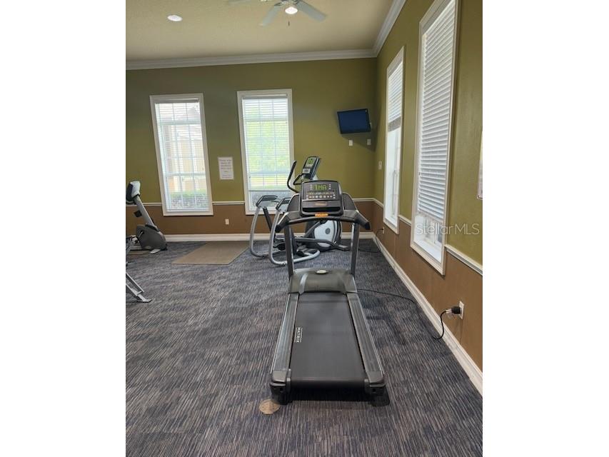 3602 Wilshire Way Road #248 Orlando FL 32829 O6407013 image30