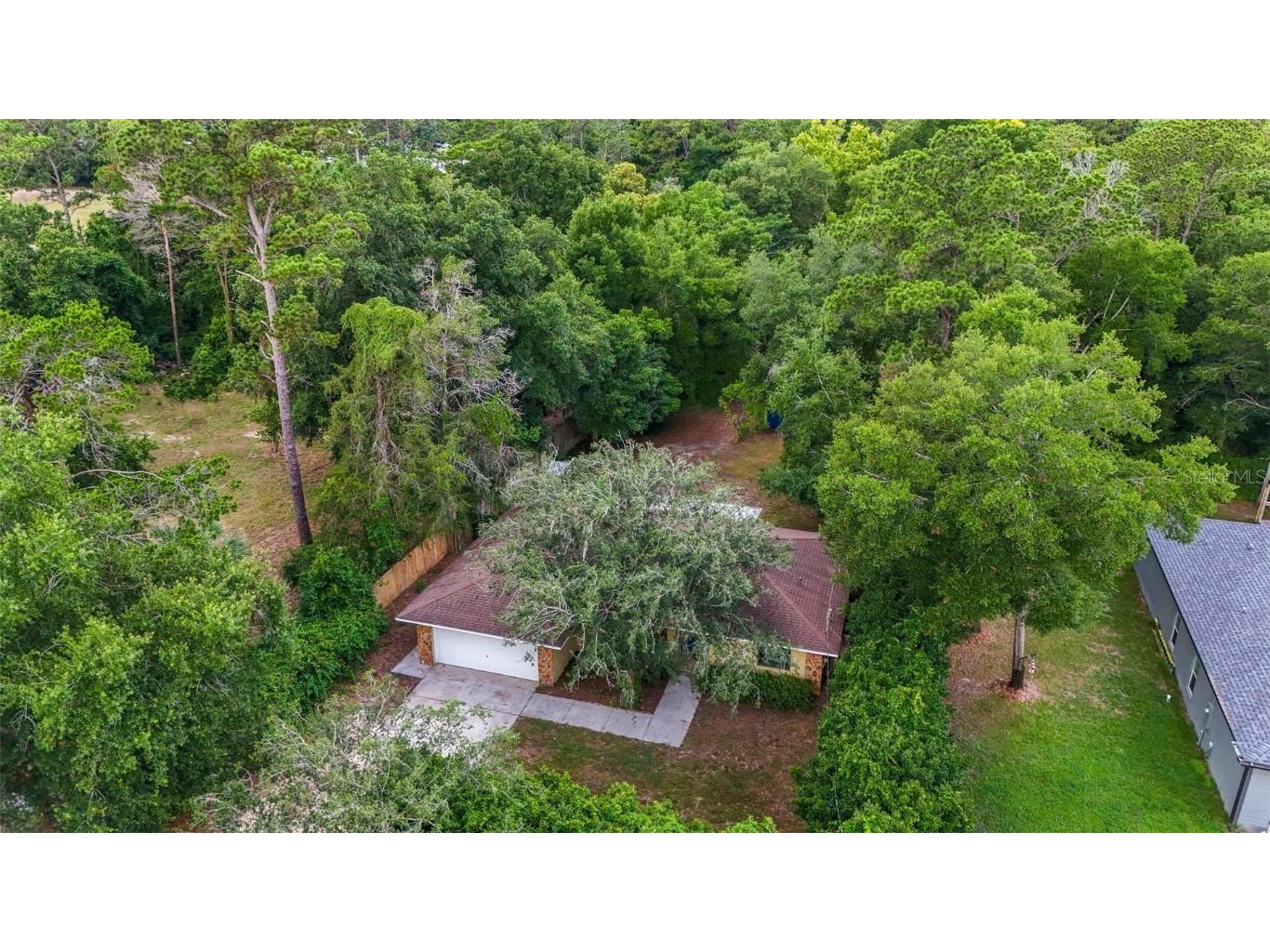 36021 Michigan Drive Eustis FL 32736 O6221341 image1