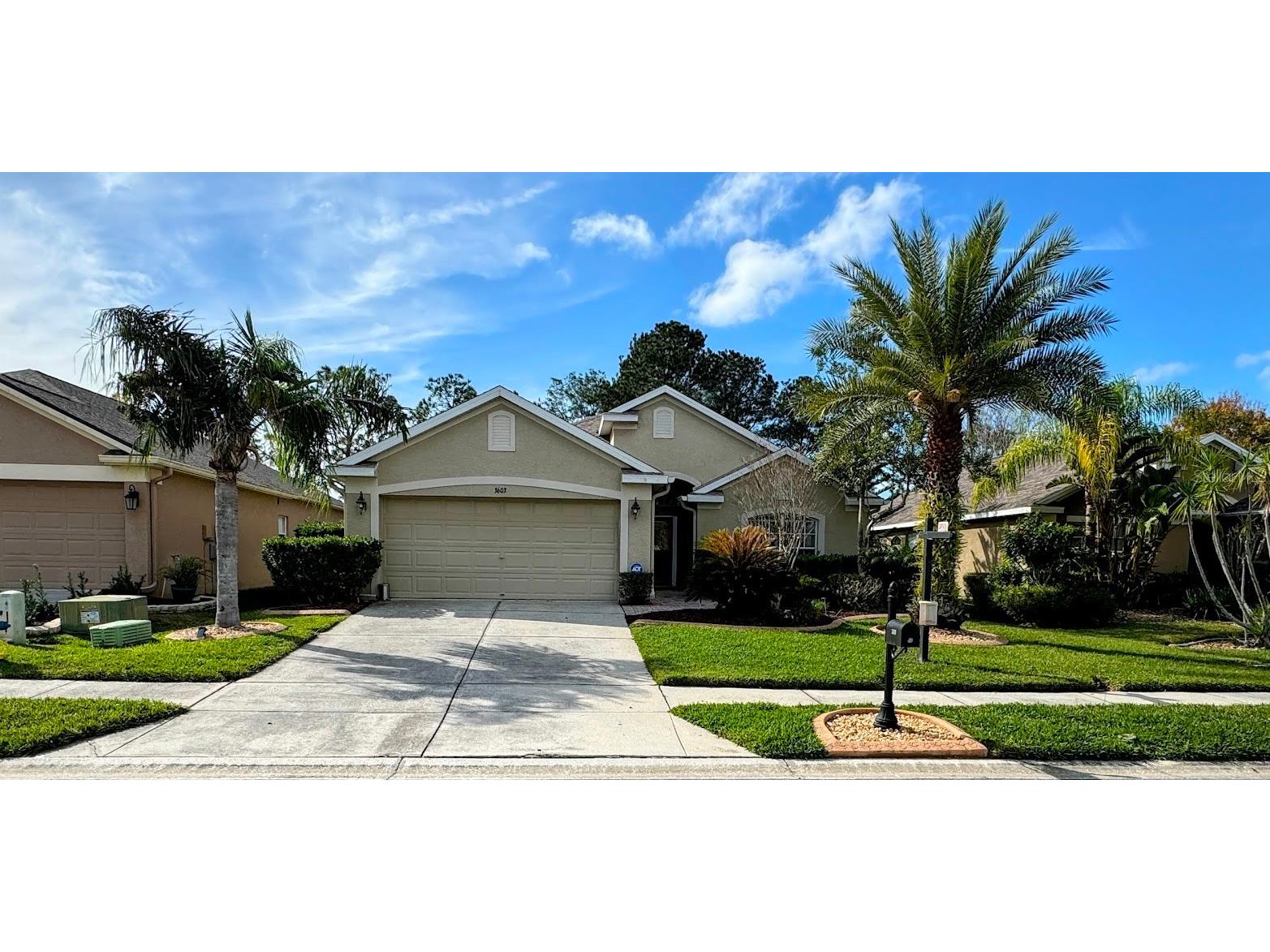 3603 Brickell Court Land O Lakes FL 34639 T3496740 image1