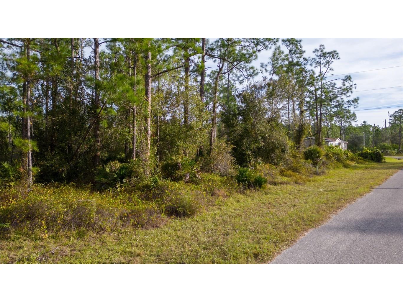 3603 E 13th Street Lehigh Acres FL 33972 U8222137 image1