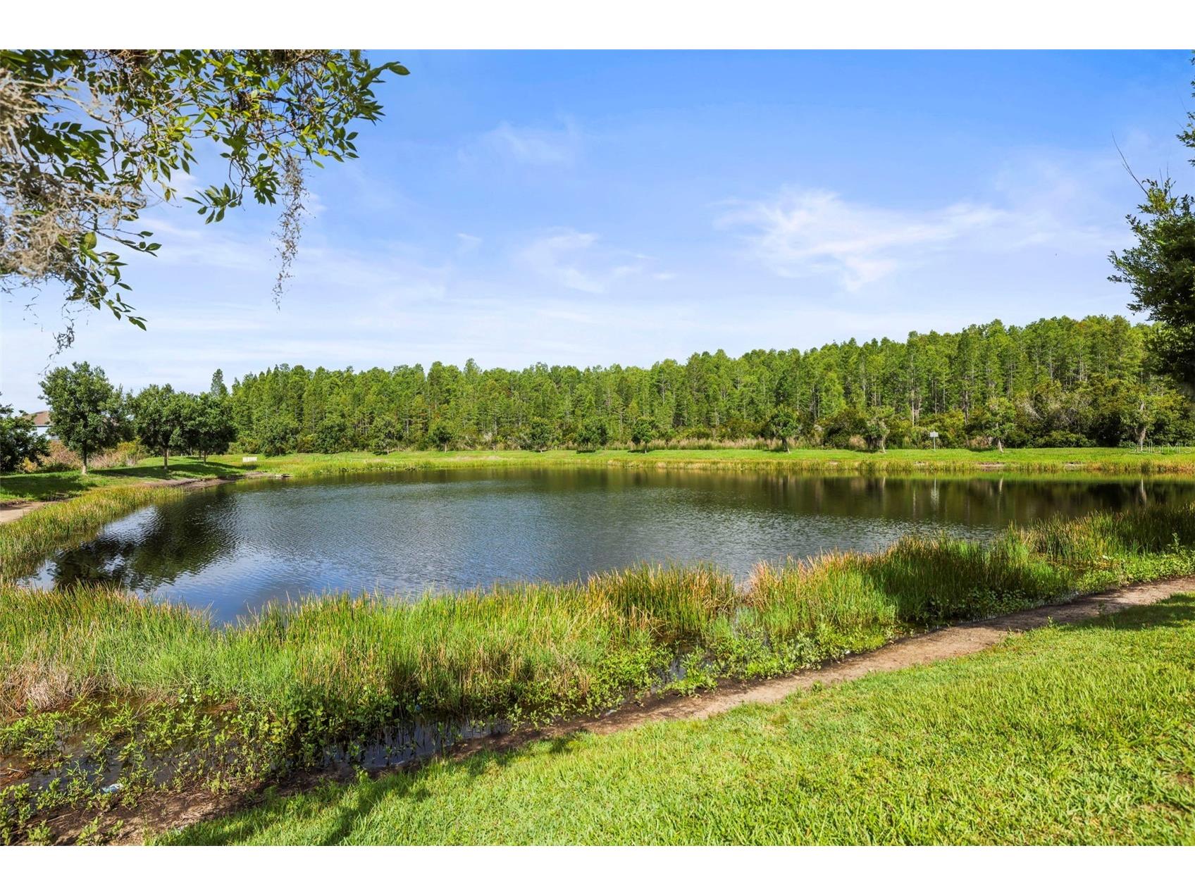 3603 Morgons Castle Court Land O Lakes FL 34638 TB8515387 image44