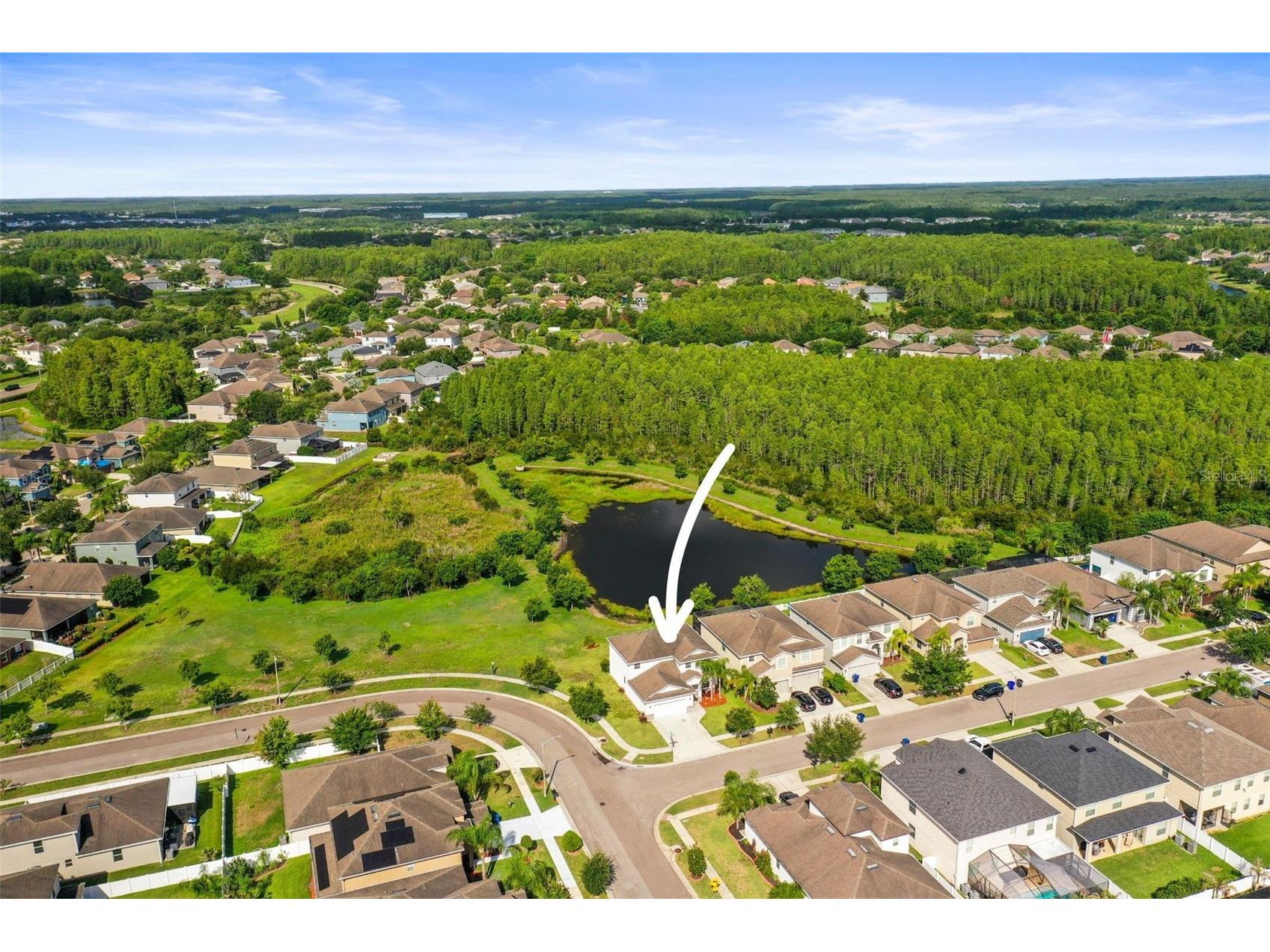 3603 Morgons Castle Court Land O Lakes FL 34638 TB8515387 image47