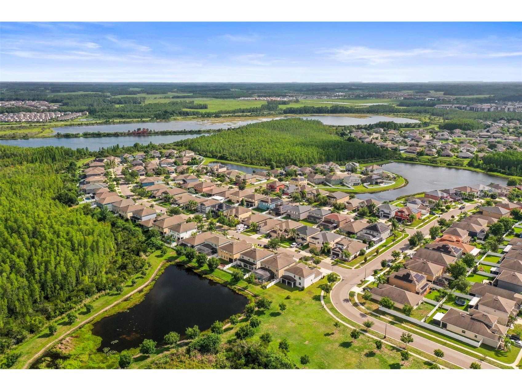 3603 Morgons Castle Court Land O Lakes FL 34638 TB8515387 image49