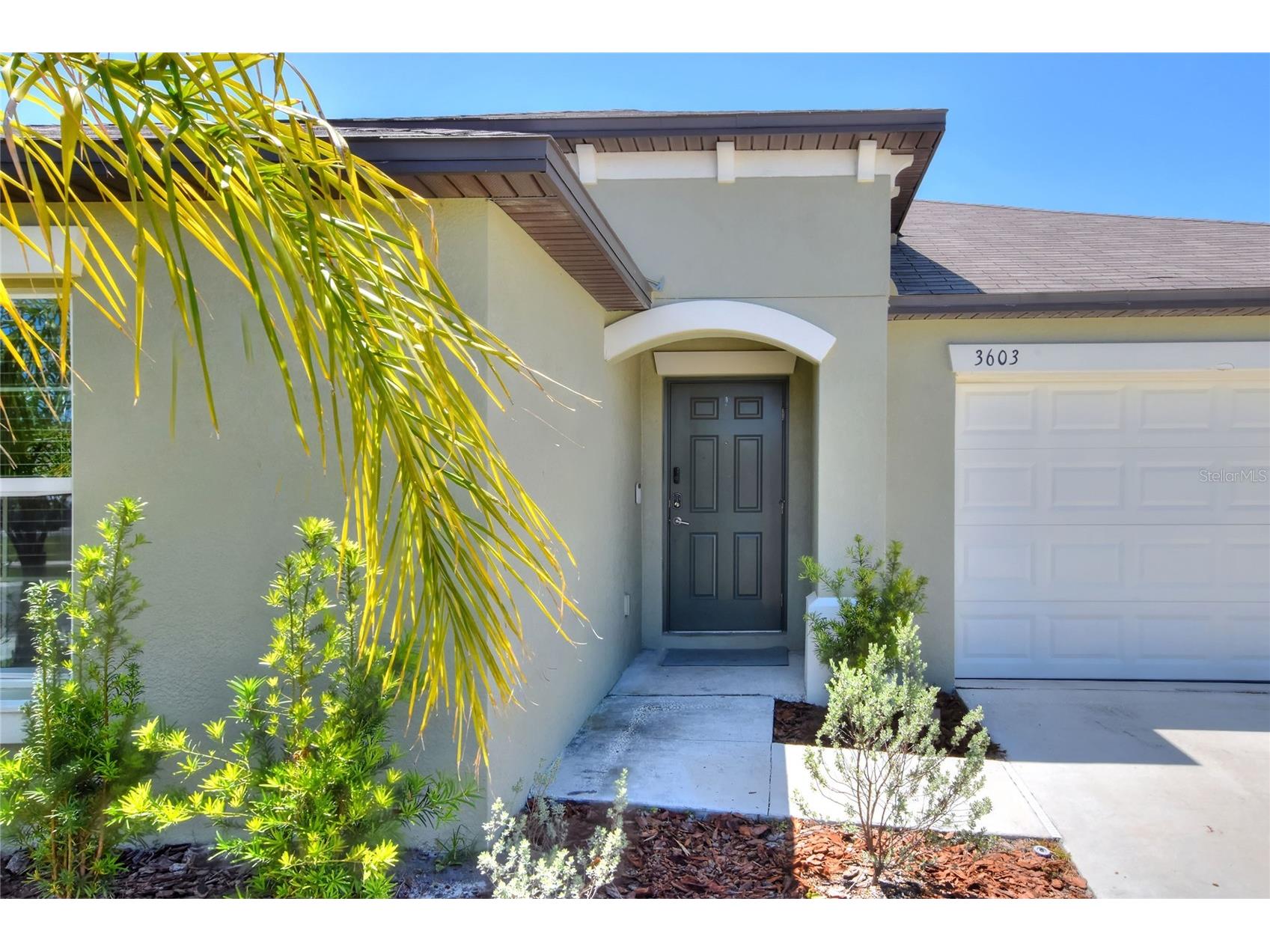 3603 Natural Trace Street Plant City FL 33565 L4961164 image5