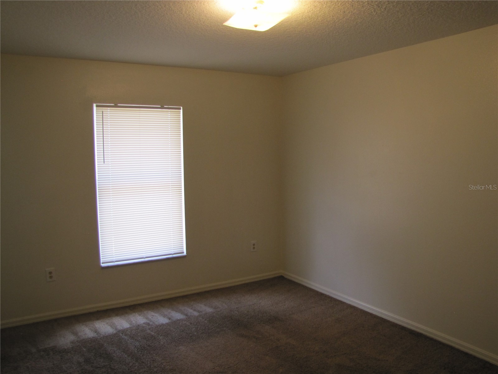 3603 Temple Street #B Tampa FL 33619 TB8501650 image11