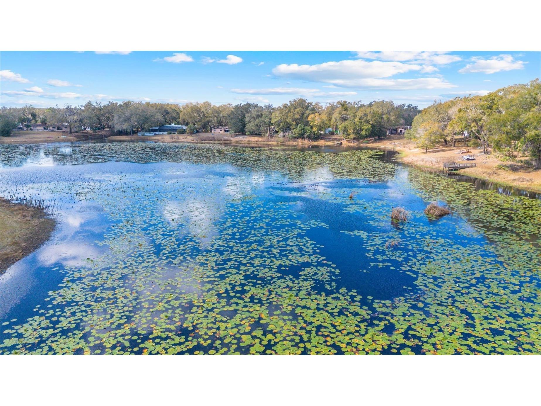 36035 E Spring Lake Boulevard Fruitland Park FL 34731 - LITTLE LAKE TRYON G5108671 image3