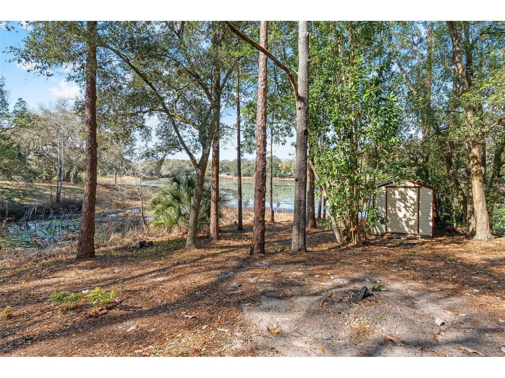 36035 E Spring Lake Boulevard Fruitland Park FL 34731 - LITTLE LAKE TRYON G5108671 image44