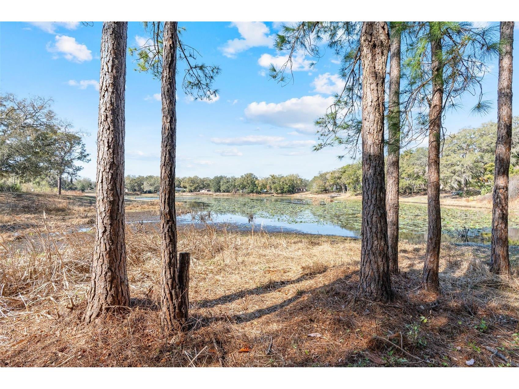36035 E Spring Lake Boulevard Fruitland Park FL 34731 - LITTLE LAKE TRYON G5108671 image47