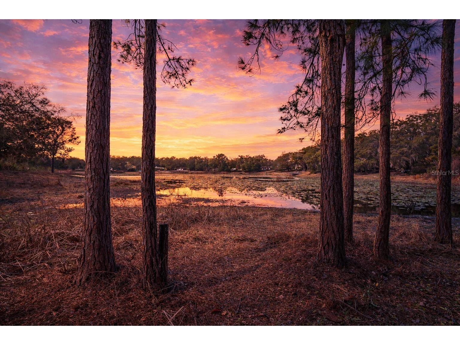 36035 E Spring Lake Boulevard Fruitland Park FL 34731 - LITTLE LAKE TRYON G5108671 image50