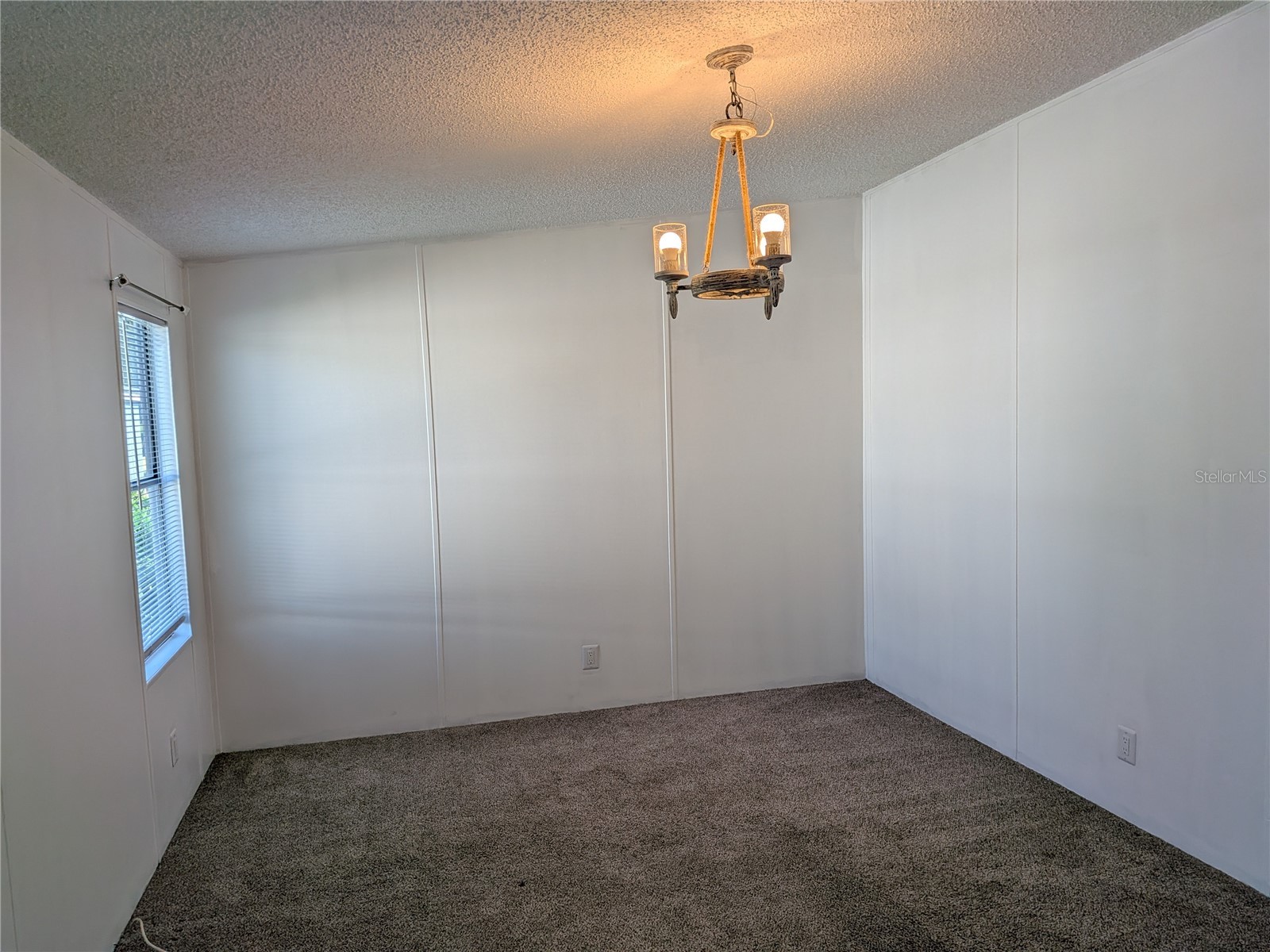 36037 Coleus Zephyrhills FL 33541 TB8526668 image10