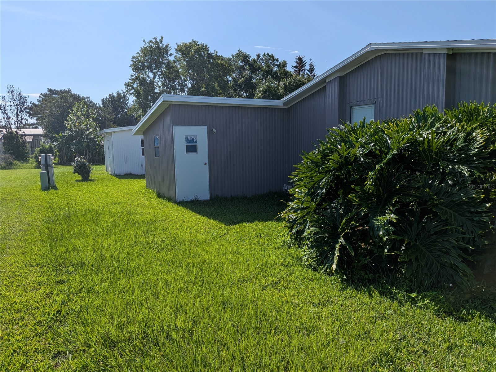36037 Coleus Zephyrhills FL 33541 TB8526668 image21