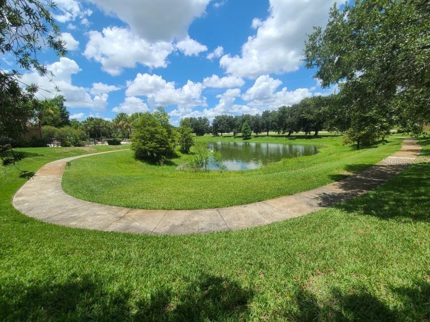 36037 Deer Creek Drive #102 Zephyrhills FL 33541 TB8450893 image28