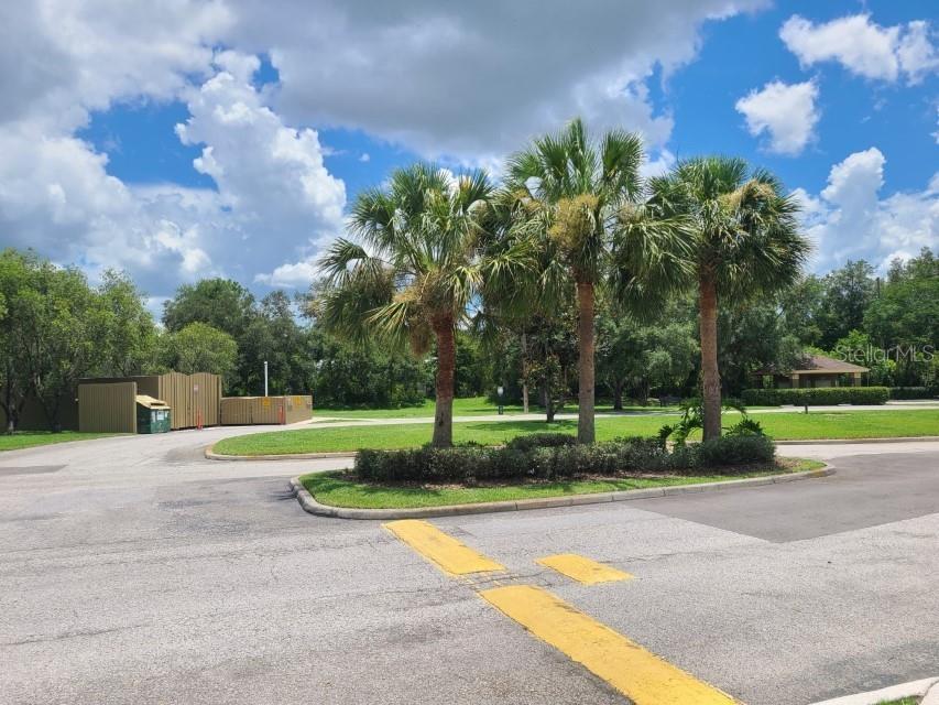 36037 Deer Creek Drive #102 Zephyrhills FL 33541 TB8450893 image43