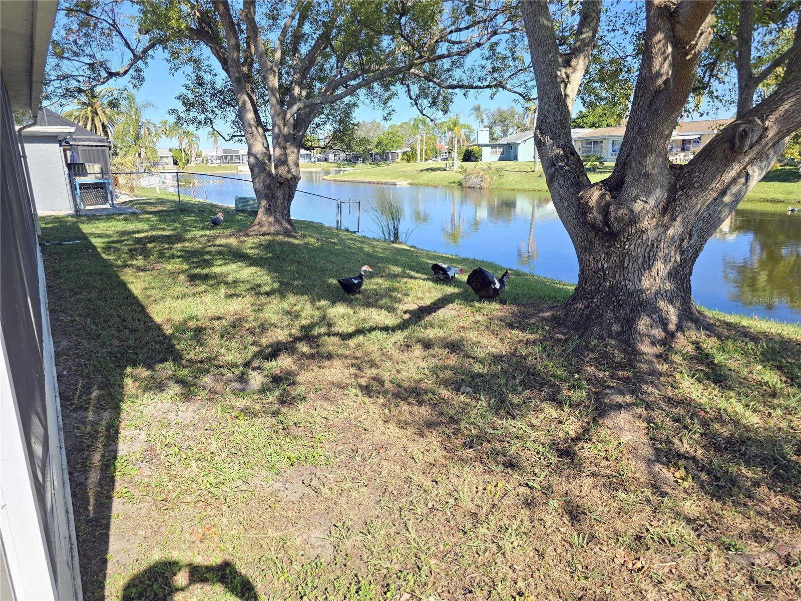 3604 Delta Place Holiday FL 34691 R4910431 image16