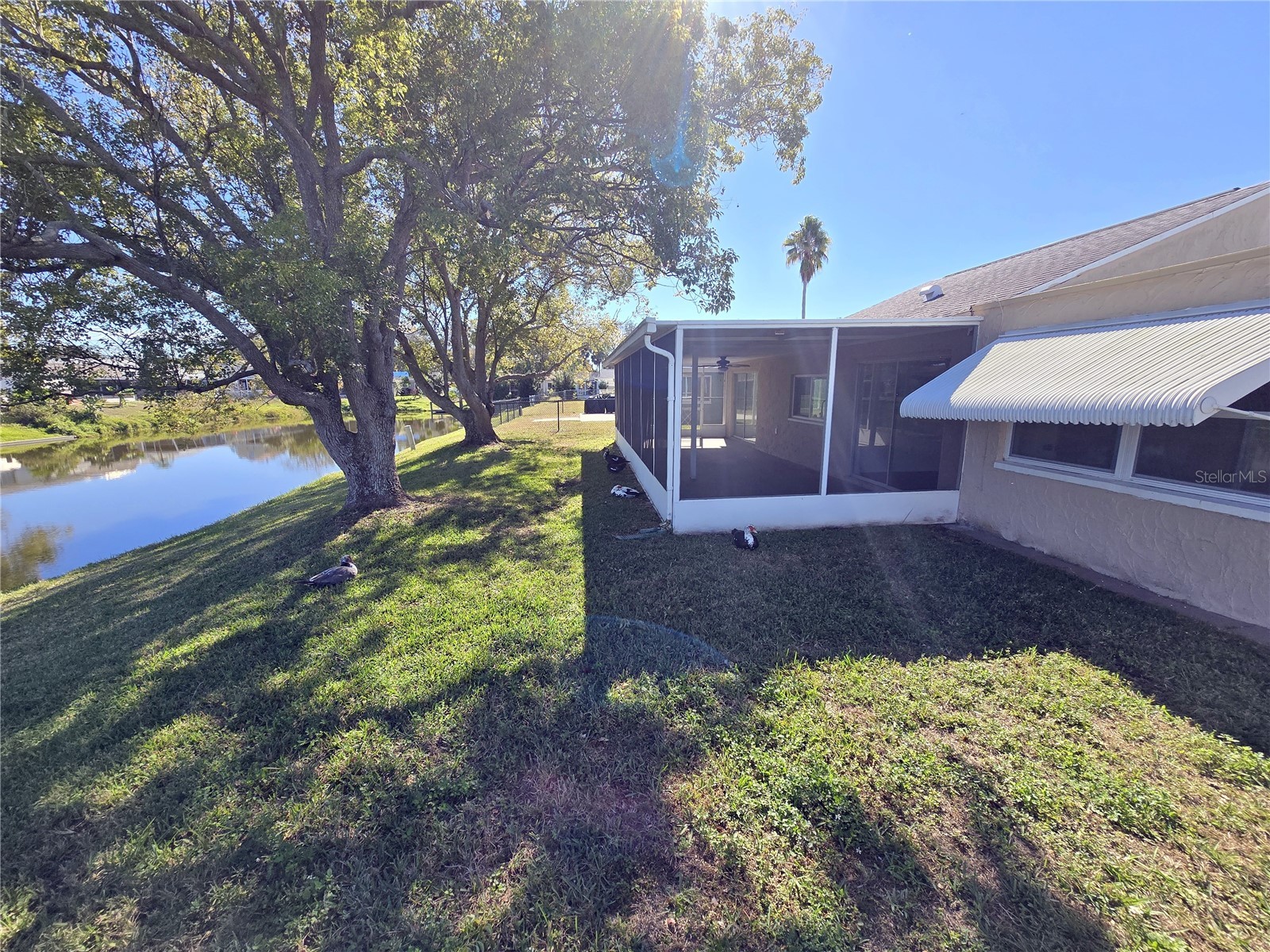 3604 Delta Place Holiday FL 34691 R4910431 image35