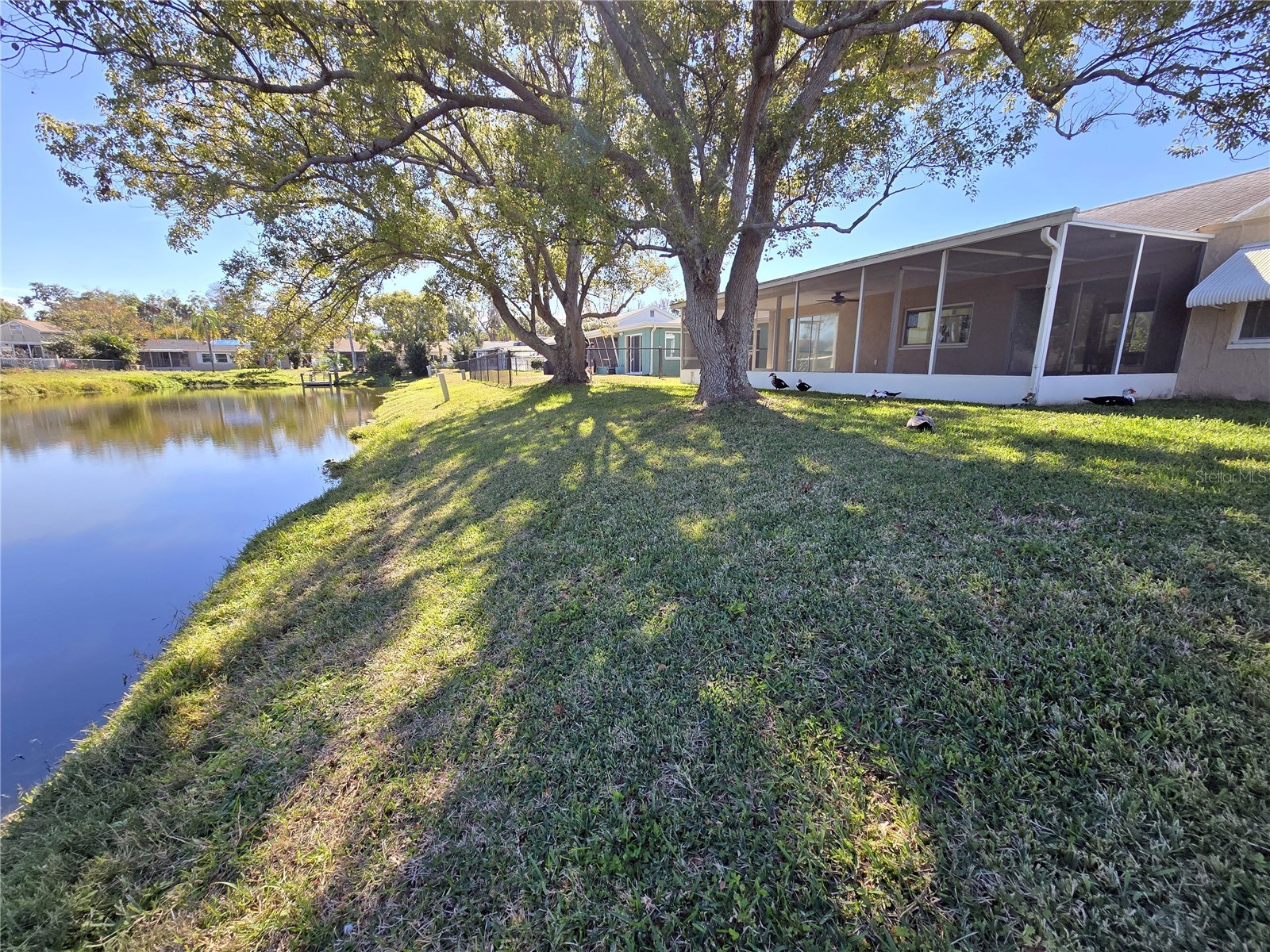 3604 Delta Place Holiday FL 34691 R4910431 image36