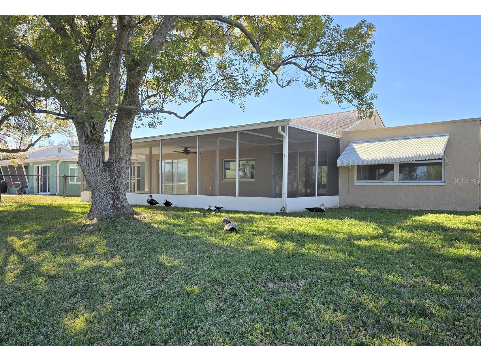 3604 Delta Place Holiday FL 34691 R4910431 image37